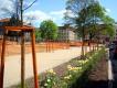 Bild zu Lutherplatz und mehr