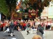 Bild zu ViaThea 2008