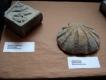 Bild zu Ausstellung Kostbares Erbe - bedrohte Baudenkmale