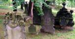 Gothic auf dem Nikolaifriedhof?