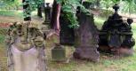 Bild zu Gothic auf dem Nikolaifriedhof?