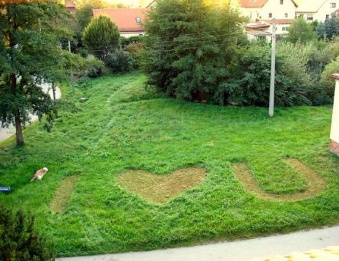 Bild zu Kornkreise in Holtendorf?