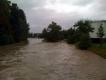 Bild zu Hochwasser in Zittau am 7. August 2010