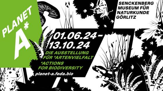 Bild zu Planet A*: Ausstellung fr Artenvielfalt im Senckenberg Museum Grlitz