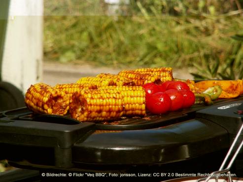 Bild zu Die wichtigsten Tipps fr die diesjhrige Grillsaison
