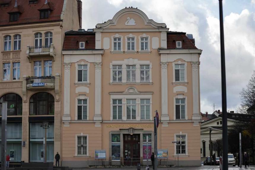 Bild zu Senckenberg Grlitz