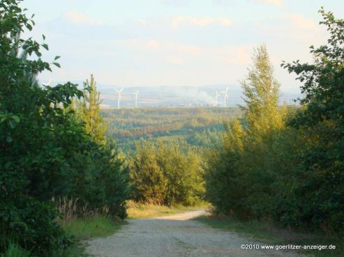 Bild zu 21. Lauf am Berzdorfer See ausgeschrieben