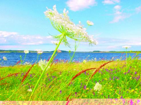 Bild zu Berzdorfer See ist "FotoGen"