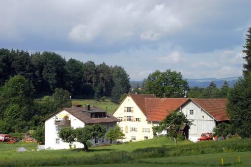 Bild zu Lndlich leben, individuell wohnen: Grlitz als Wohnparadies im Grnen