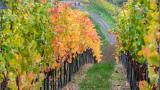 Bild zu Reiseziele für den Herbst: Von der Neiße bis zum Balaton