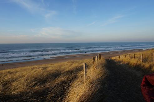 Bild zu Vom Grlitzer Stadtstrand bis zur niederlndischen Kste: Reiseziele fr einen unvergesslichen Sommerurlaub