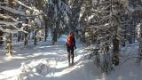 Bild zu Wintersportvielfalt: Sportlich Aktiv im Winter