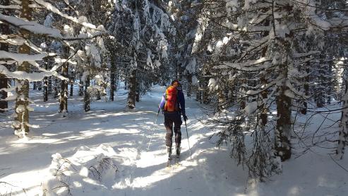 Bild zu Wintersportvielfalt: Sportlich Aktiv im Winter