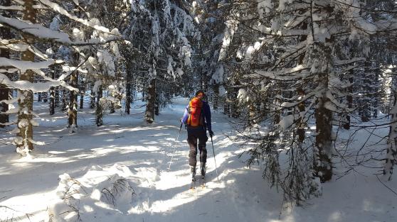 Bild zu Wintersportvielfalt: Sportlich Aktiv im Winter