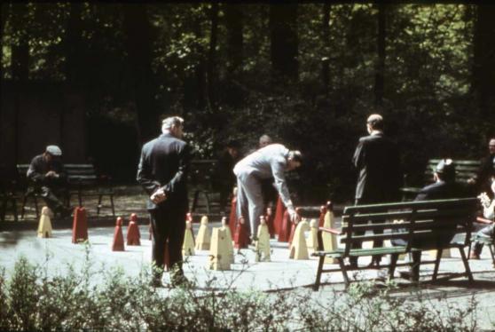 Bild zu Schach im Grlitzer Stadtpark kehrt zurck