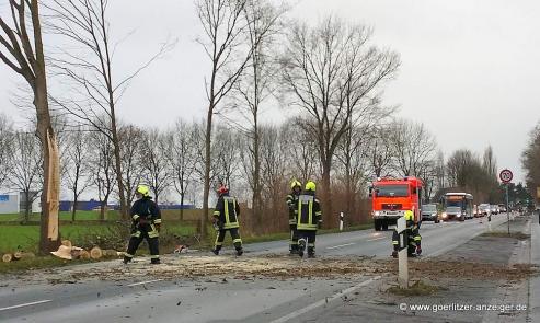 Bild zu Feuerwehr Mnster macht Strae frei