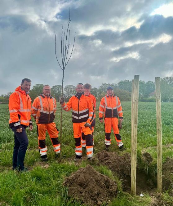 Bild zu Neue Baumpflanzungen im Landkreis Grlitz strken Umweltschutz