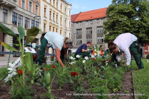 Bild zu Grlitz pflanzt den Sommer