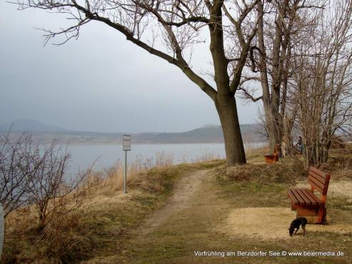Bild zu Berzdorfer See: Ab ins Wasser!