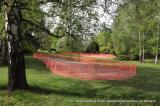 Bild zu Blühinseln im Görlitzer Birkenwäldchen