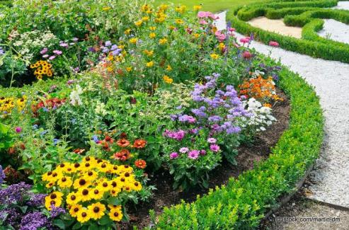 Bild zu Begrnung im stdtischen Raum: Wie Blumen wirken