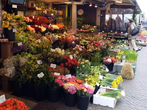 Bild zu Amsterdam erkunden: Die schnsten Ausflugsziele