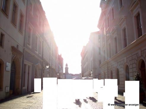 Bild zu Anti-DSGVO-Flashmob in Grlitz