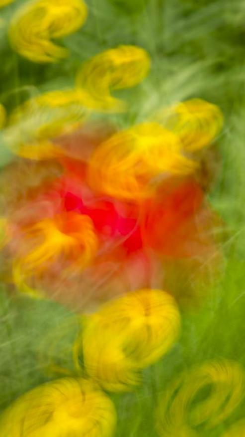 Bild zu  Impressionistische Naturfotografie von Axel Gebauer