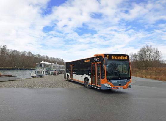 Bild zu Buslinie D: Umleitung bis Mai 2025 wegen Straensperrung