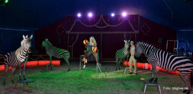 Der Zirkus der Familie Weisheit bietet "volles Programm" Der Zirkus der Familie Weisheit bietet "volles Programm"