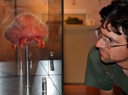 Bild zu Senckenberg verlngert "Strae der Arten"