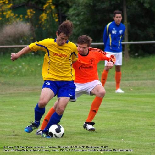 Bild zu Neues aus der Regionalliga