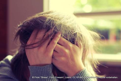 Bild zu Natrlich gegen Stress