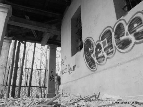 Bild zu Living places/Lebendige Orte in Grlitz
