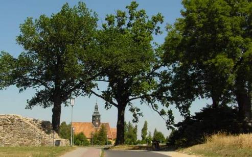 Bild zu Ein Toter am Wegesrand