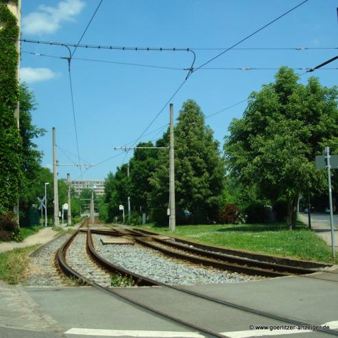 Bild zu Wahljahr: Nun auch noch die Stadtwerke Grlitz