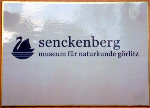 Bild zu Erfolgreiche Senckenberg-Schau endet