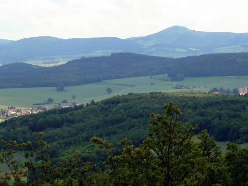 Bild zu Landkreis Grlitz will die Nonne im Griff behalten