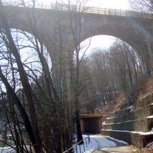 Bild zu Holztunnel unter dem Grlitzer Viadukt brannte
