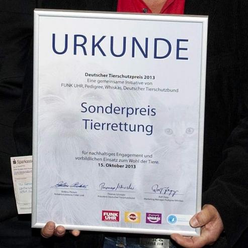 Bild zu Tierheim Grlitz mit Tierschutz-Sonderpreis ausgezeichnet