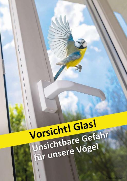 Bild zu Unsichtbare Gefahr fr Vgel: Senckenberg Museum Grlitz ffnet Sonderausstellung