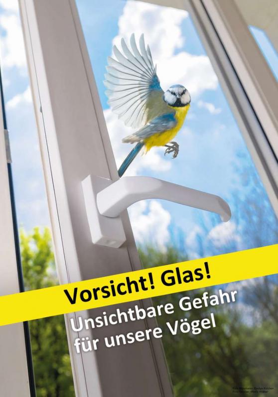 Bild zu Unsichtbare Gefahr für Vögel: Senckenberg Museum Görlitz öffnet Sonderausstellung