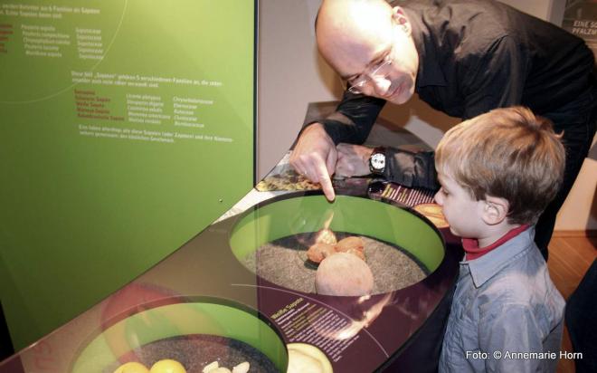Großelterntag öffnet kostenlos Tore zu drei Görlitzer Museen Großelterntag öffnet kostenlos Tore zu drei Görlitzer Museen
