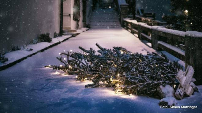 Bildtitel: Was tun mit dem alten Weihnachtsbaum? Bild zu Was tun mit dem alten Weihnachtsbaum?