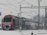 Bild zu Trilex rollt, andere fahren an den Baum