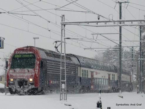 Bild zu Trilex rollt, andere fahren an den Baum