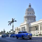 Kubanische Exporte: Künftig noch diverser