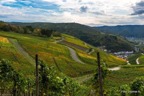 Bild zu Fluthilfe aus Grlitz
