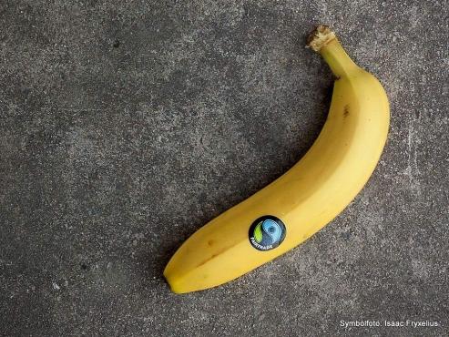 Bild zu Global denken, lokal handeln: Fairtrade-Landkreis Wrzburg ein Vorbild fr Grlitz?