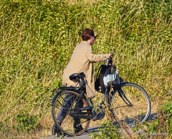 Bild zu Ankndigung von Baustellen in Grlitz